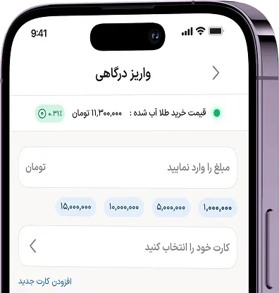 کیف پول نیرا گلد